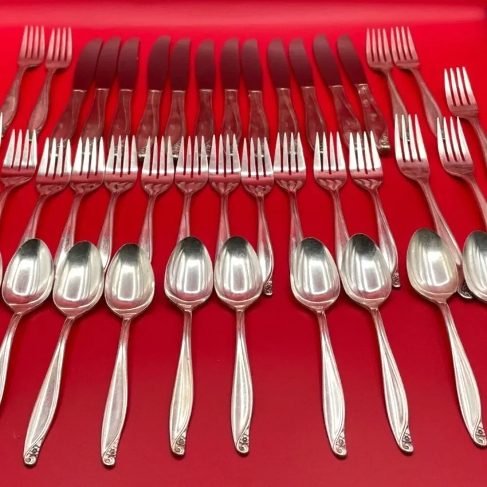Vintage Wm A. Rogers Oneida Flowertime Silver Overlaid 43 Piece Flatware Set